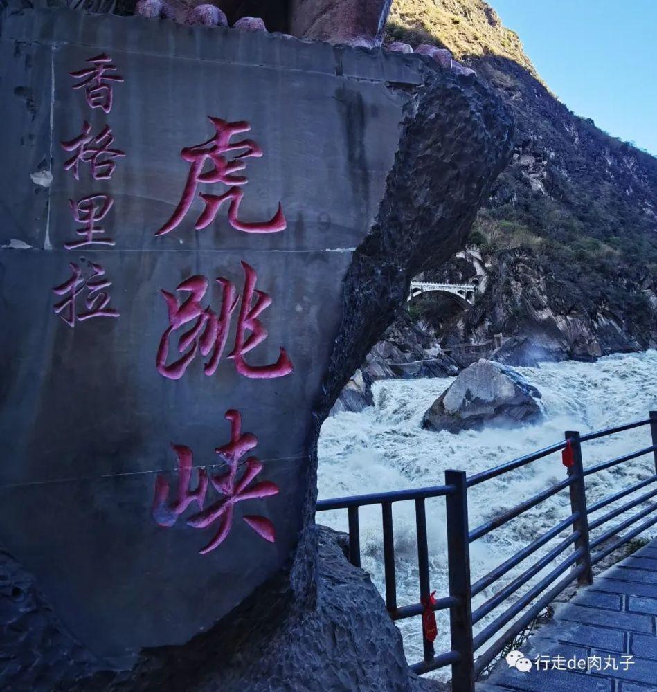 疯狂的小猫