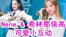 南越国是在哪个朝代建立的？